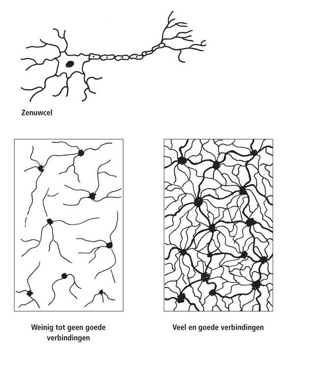 O,zo afbeelding zenuwcel met verschillende verbindingen